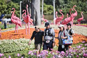 BIB: 
                            <button type="button" onclick="openModal(27793660)" class="btn btn-primary btn-sm float-right btn-popup" data-toggle="modal" data-target=".modal-high-quality">
                        <i class="fas fa-shopping-cart"></i> Add to Cart
                    </button>
                                            <button type="button" onclick="isThisMe(27793660, true)" class="btn btn-success btn-sm float-right btn-popup btn-isme hidden" data-toggle="tooltip" data-placement="bottom" title="นี่คือรูปของคุณใช่ไหม คลิกที่นี่เพื่อเอาเข้าอัลบั้ม">
                        <i class="fas fa-plus"></i> Add to album
                    </button>
                    <button type="button" onclick="isThisMe(27793660, false)" class="btn btn-warning btn-sm float-right btn-popup btn-isnotme hidden">
                        <i class="fas fa-ban"></i> Remove from album
                    </button>